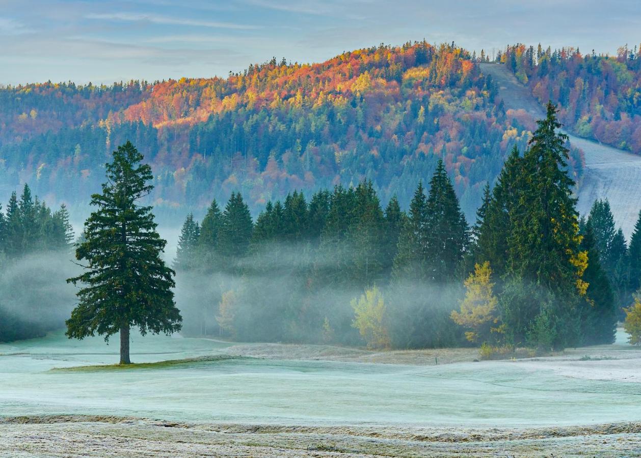 Dependence Hotela Stupka - Golf Тале Екстер'єр фото